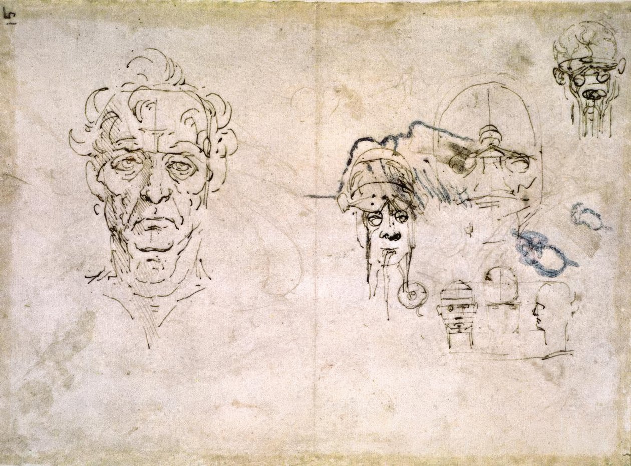 Anatomiestudien af Leonardo da Vinci