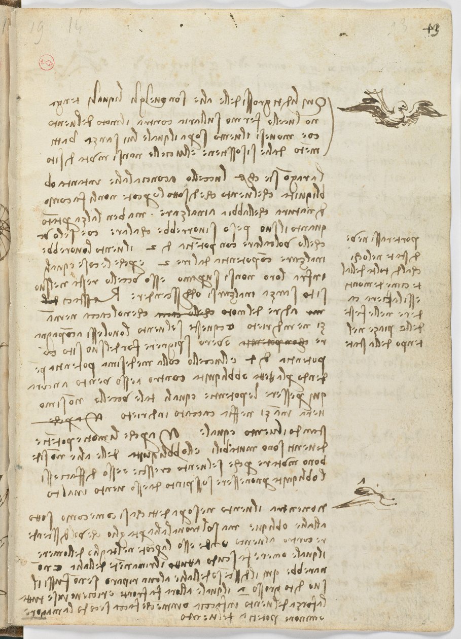 Fugleflyvningskode, ca. 1505-06, papirmanuskript, cc. 18, ark 13 recto af Leonardo da Vinci