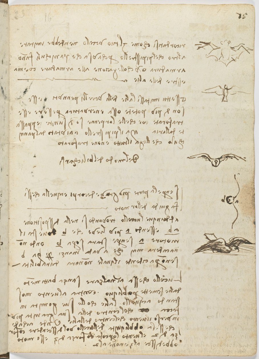 Fugleflyvningskode, ca. 1505-06, papirmanuskript, cc. 18, ark 15 recto af Leonardo da Vinci