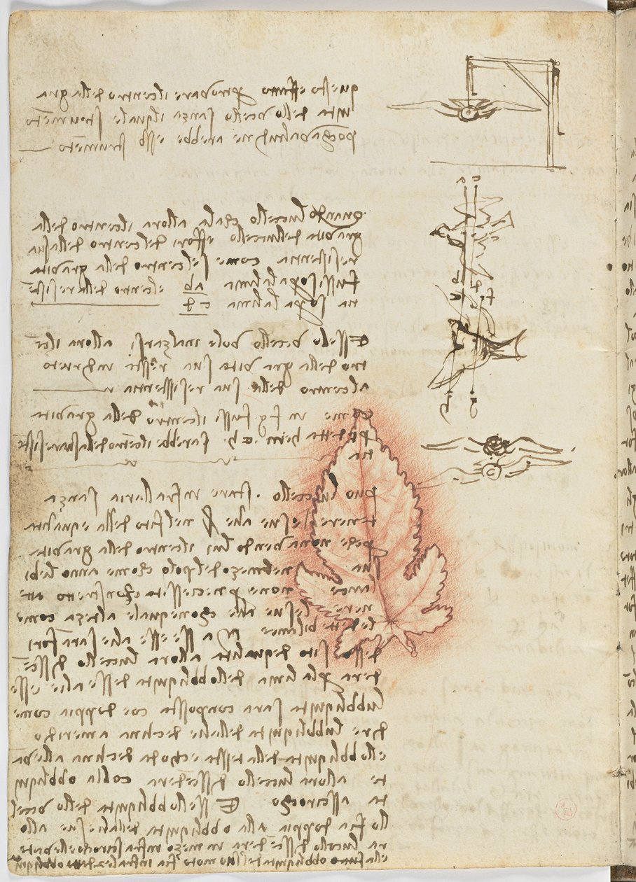 Fugleflyvningskode, ca. 1505-06, papirmanuskript, cc. 18, ark 15 verso af Leonardo da Vinci