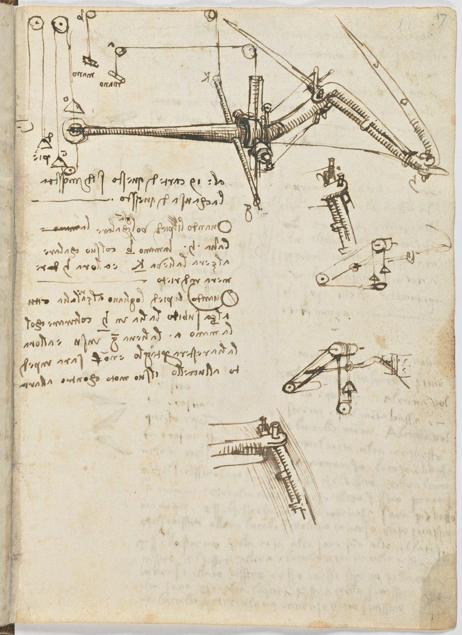 Fuglenes flyvekodeks, ca. 1505-06, papirmanuskript, cc. 18, ark 17 recto af Leonardo da Vinci