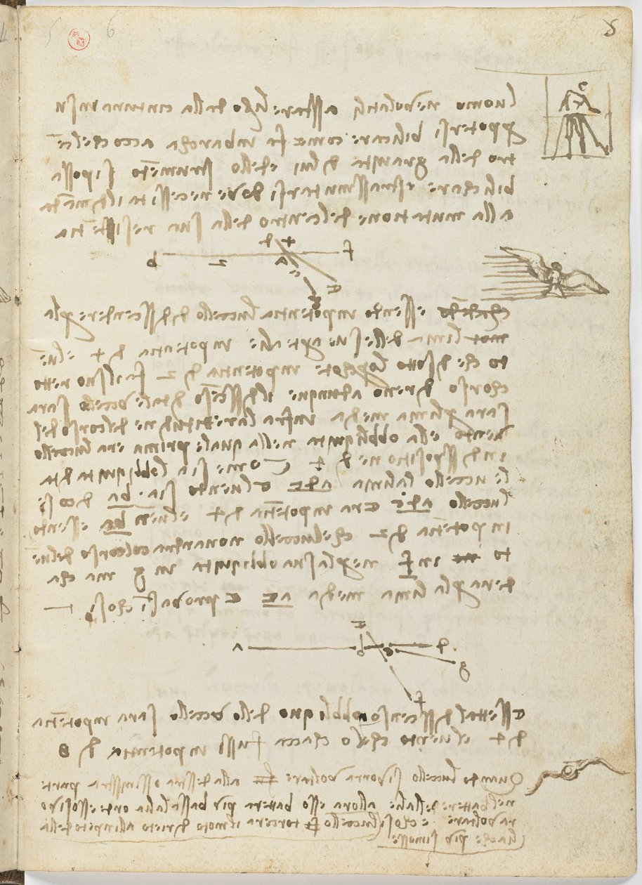 Fugleflyvningskode, ca. 1505-06, papirmanuskript, cc. 18, ark 5 recto af Leonardo da Vinci