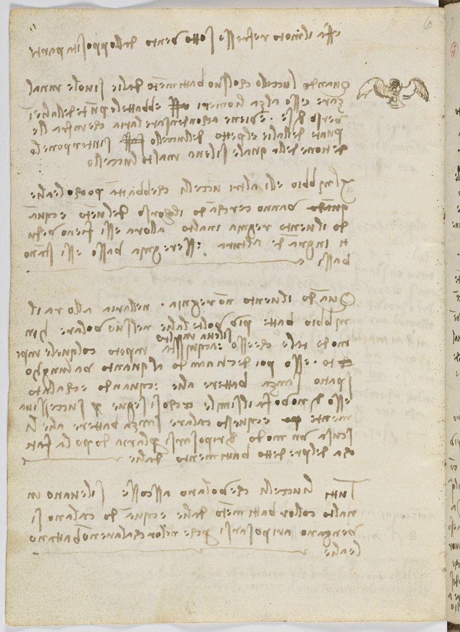 Fugleflyvningskode, ca. 1505-06, papirmanuskript, cc. 18, ark 5 verso af Leonardo da Vinci