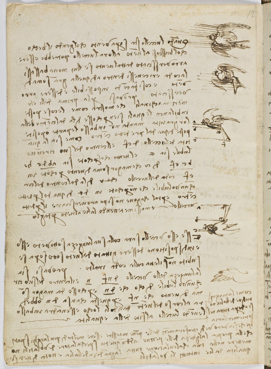 Fugleflyvningskode, ca. 1505-06, papirmanuskript, cc. 18, ark 8 verso af Leonardo da Vinci