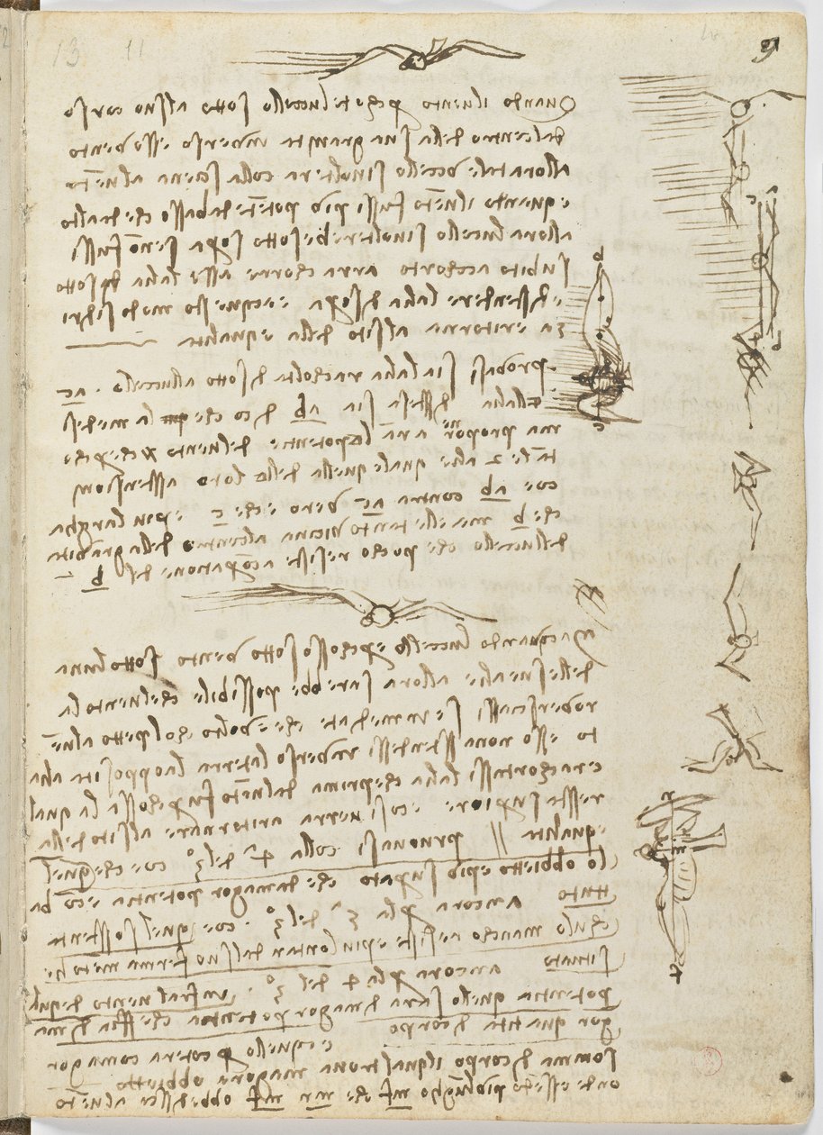 Fugleflyvningskode, ca. 1505-06, papirmanuskript, cc. 18, ark 9 recto af Leonardo da Vinci