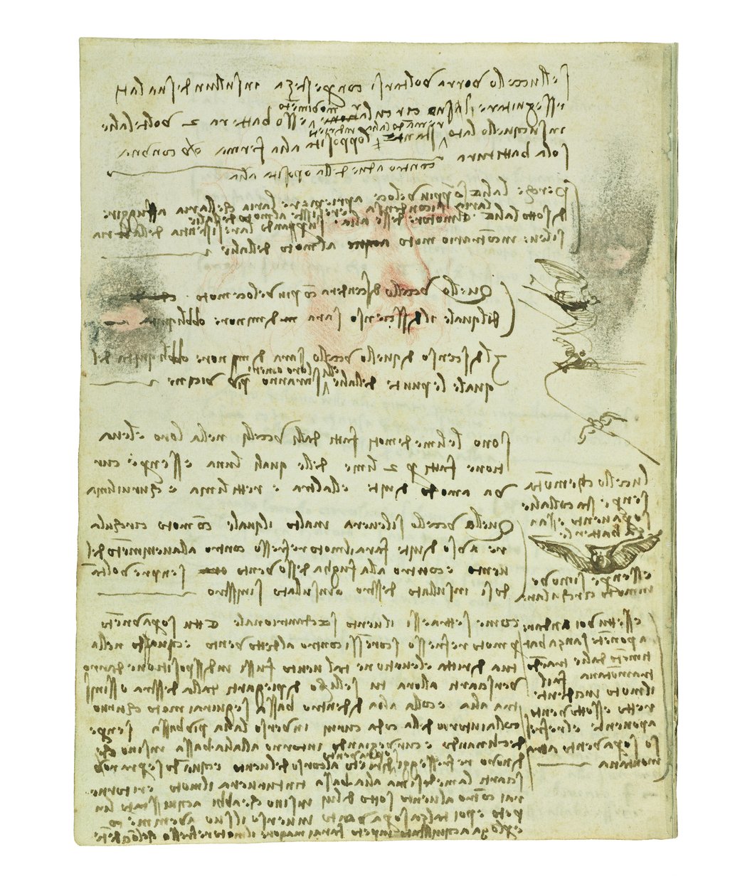 Codex om fugleflyvning, Folio 10 verso af Leonardo da Vinci