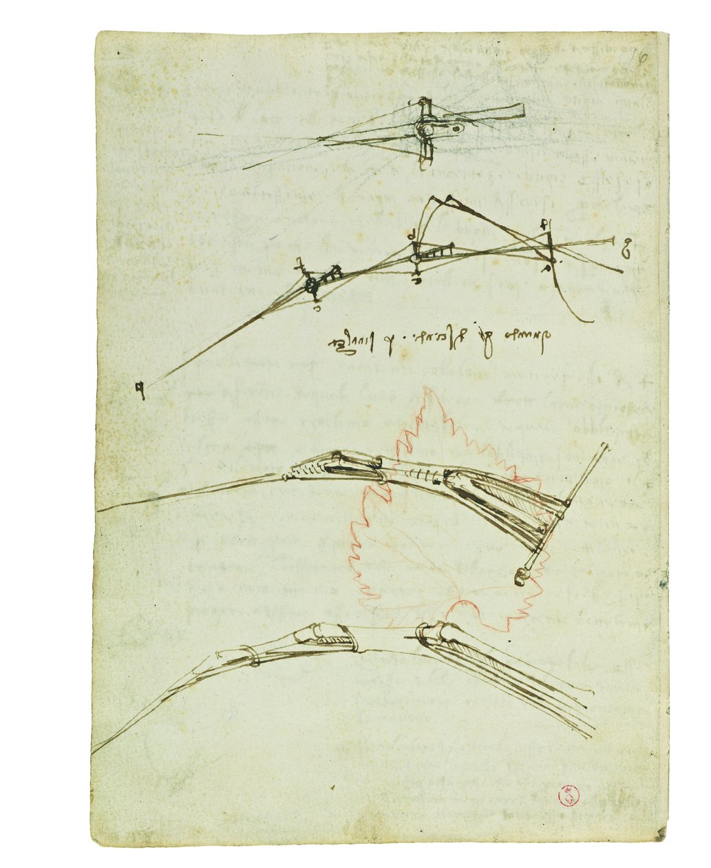Codex om fugleflyvning, Folio 11 verso af Leonardo da Vinci