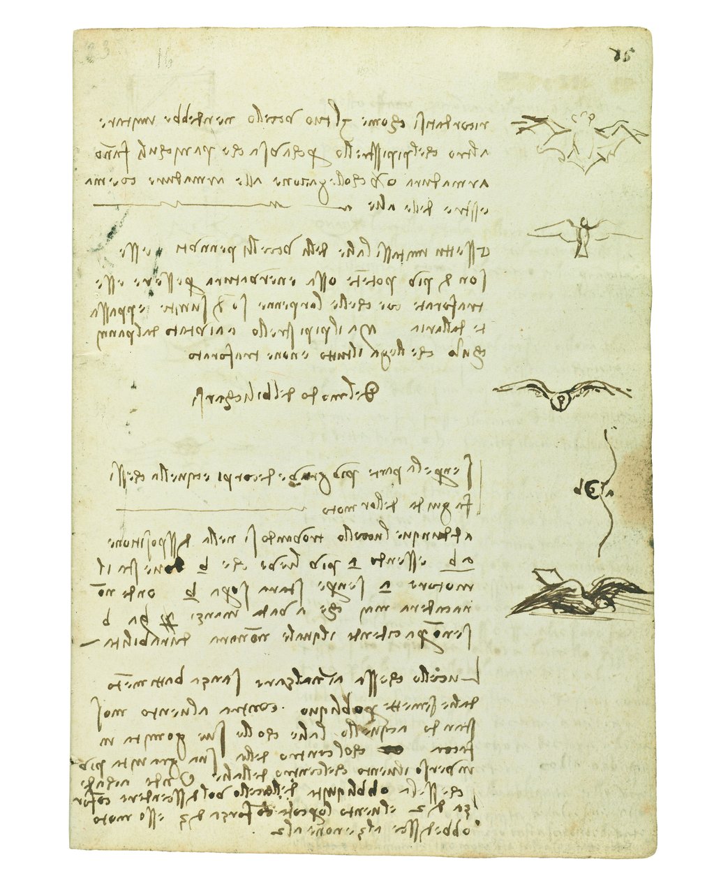 Codex på fugleflyvning, Folio 15 recto af Leonardo da Vinci