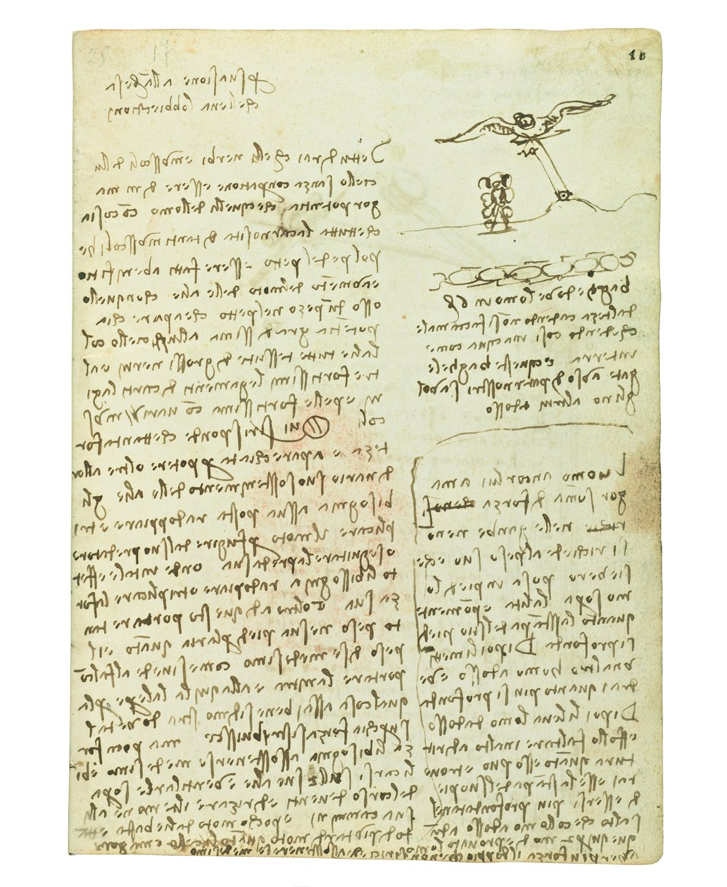 Codex på fugleflyvning, Folio 16 recto af Leonardo da Vinci