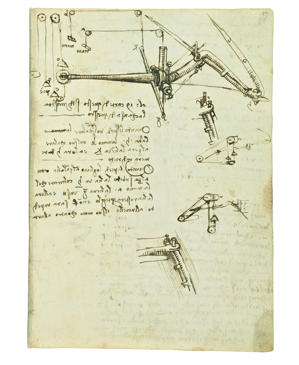 Codex på fugleflyvning, Folio 17 recto af Leonardo da Vinci