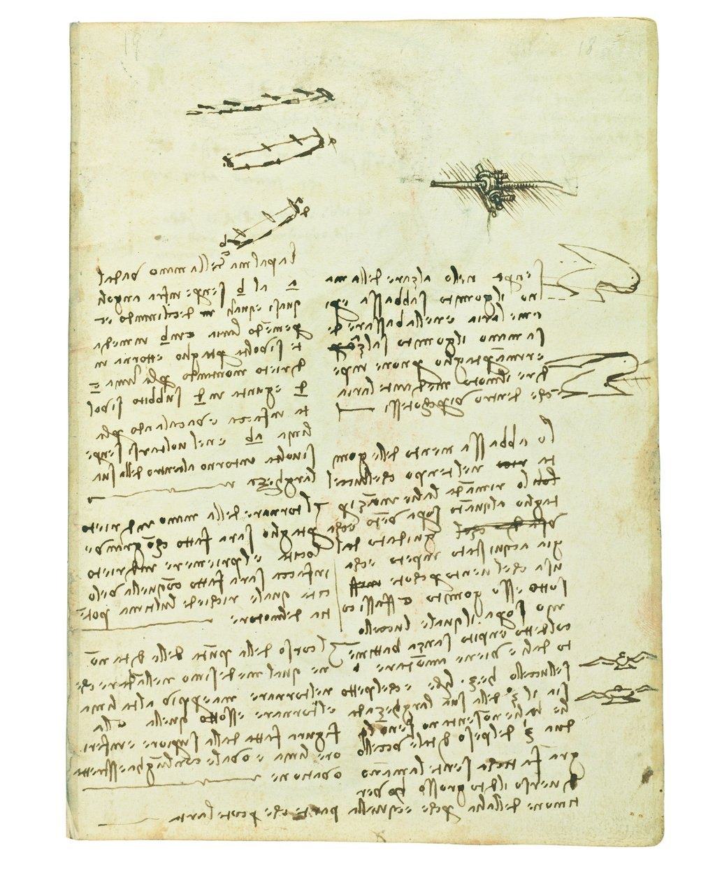 Codex på fugleflyvning, Folio 18 recto af Leonardo da Vinci