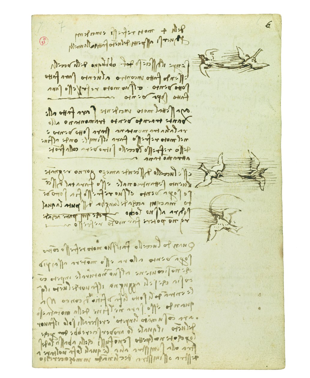 Codex om fugleflyvning, Folio 6 recto af Leonardo da Vinci