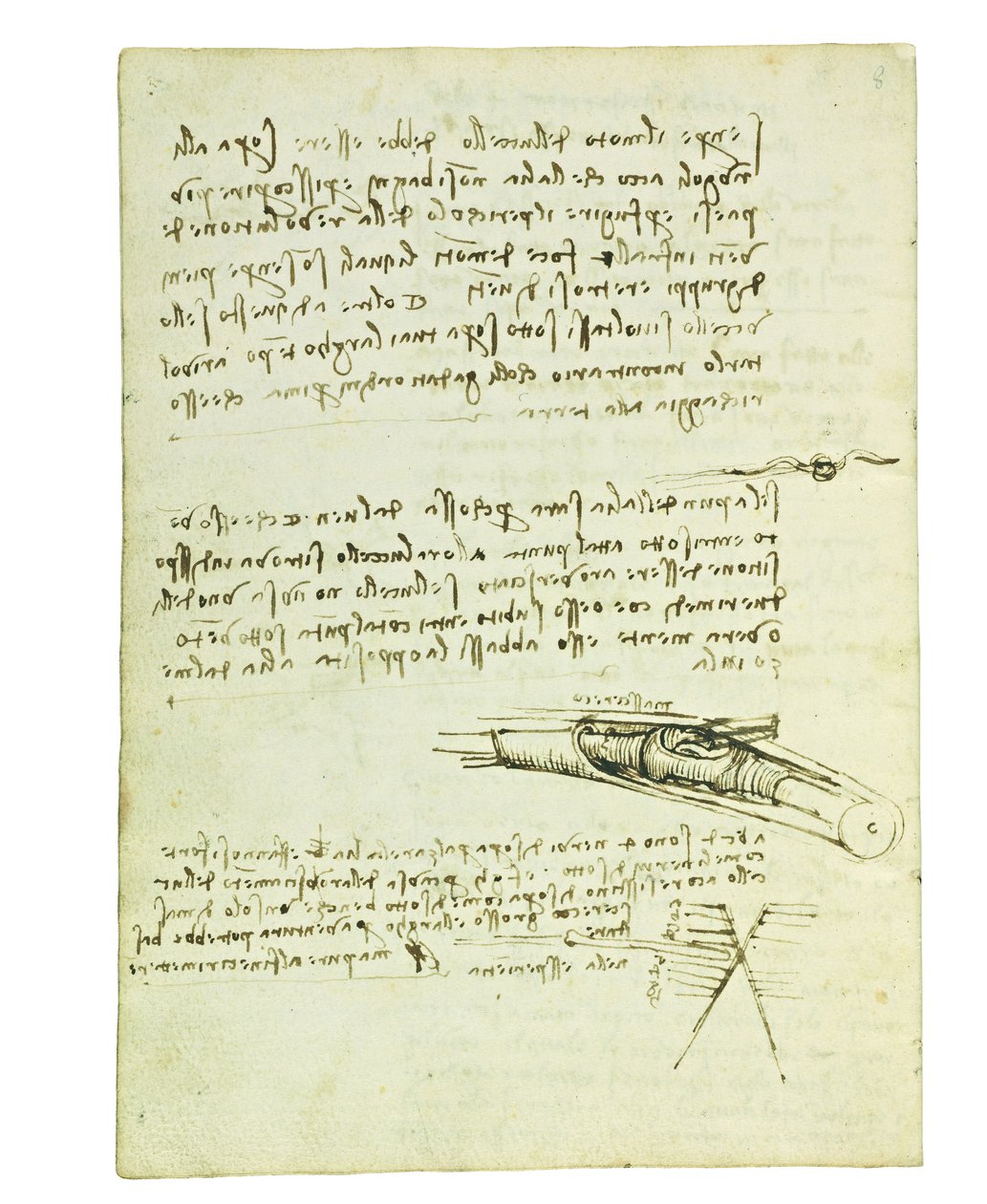 Codex om fugleflyvning, Folio 6 verso af Leonardo da Vinci