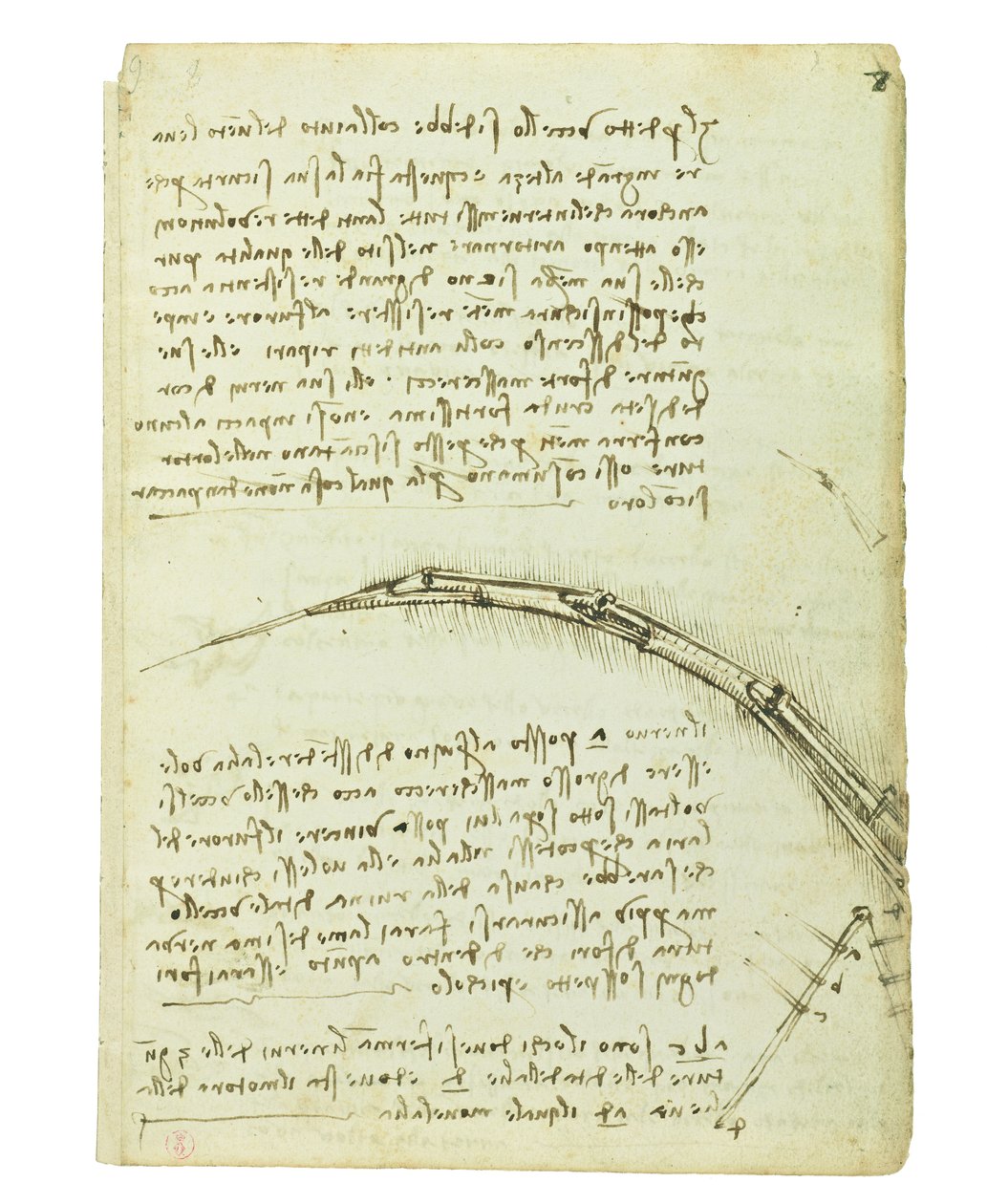Codex om fugleflyvning, Folio 7 recto af Leonardo da Vinci
