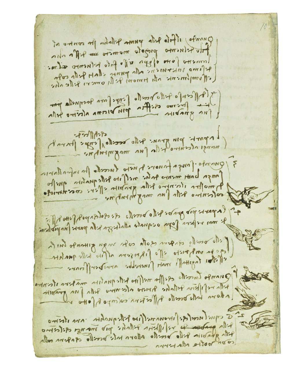 Codex om fugleflyvning, Folio 7 verso af Leonardo da Vinci