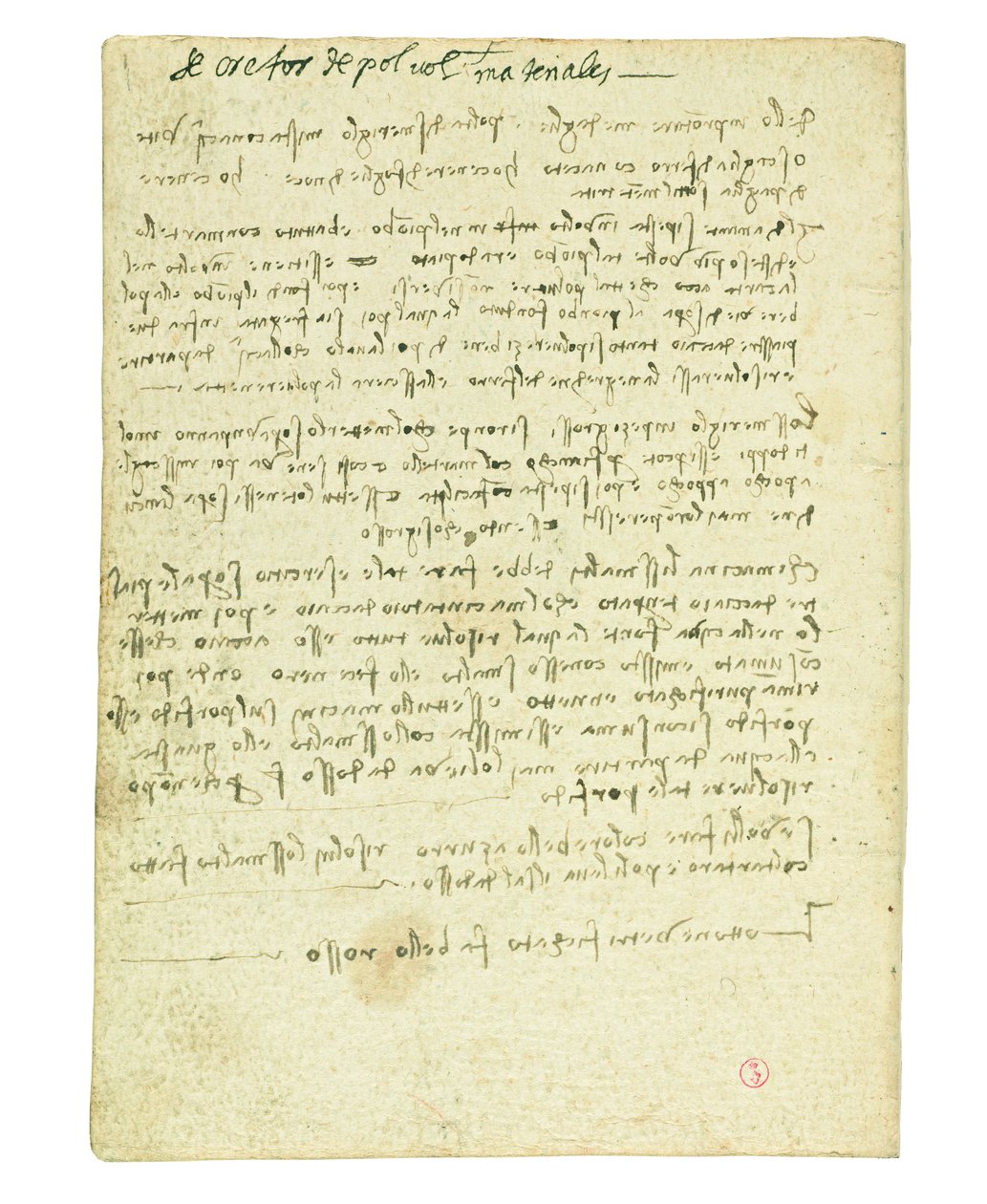 Codex om fuglens flyvning, slutpapir II af Leonardo da Vinci