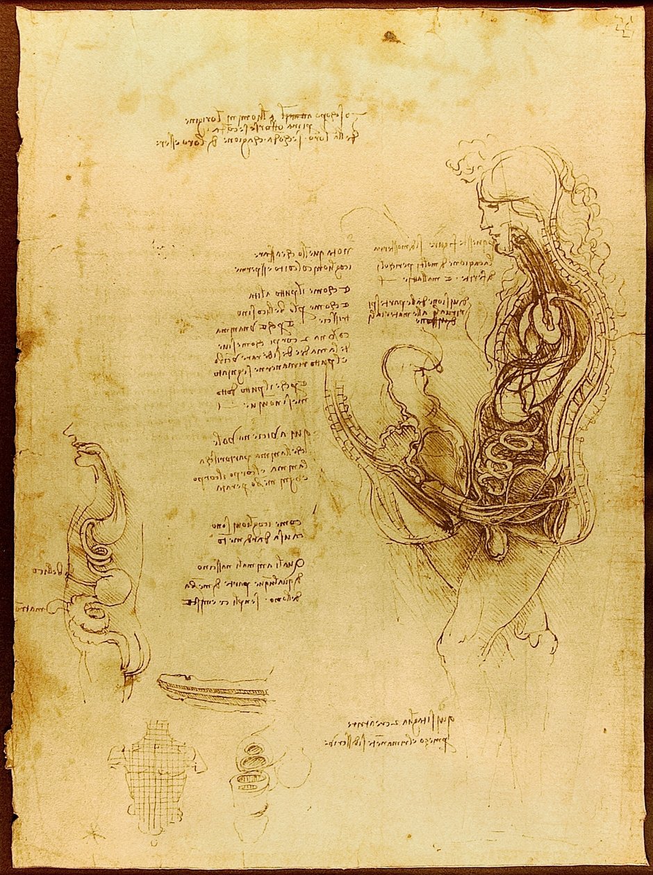 Coition of a Hemisected Man and Woman Luc Viatour af Leonardo da Vinci