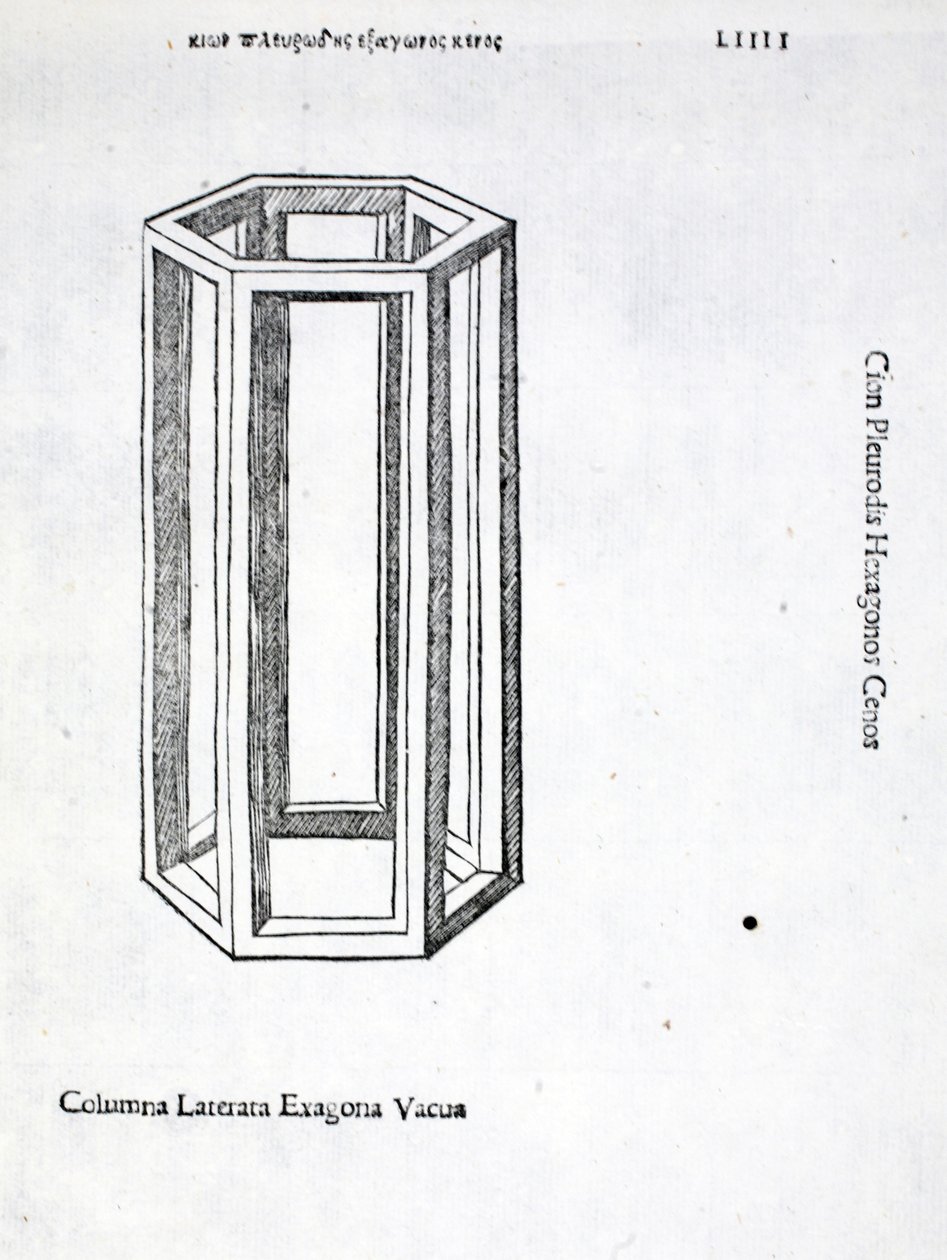 Columna laterata exagona vacua, illustration fra "Divina Proportione" af Luca Pacioli (ca. 1445-1517), oprindeligt udgivet. Venedig, 1509 af Leonardo da Vinci