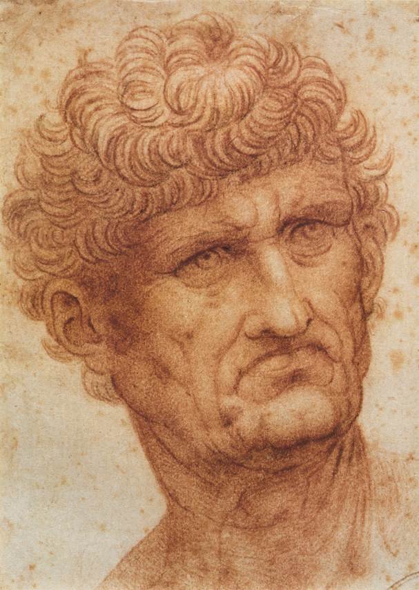 Hoved af en mand af Leonardo da Vinci