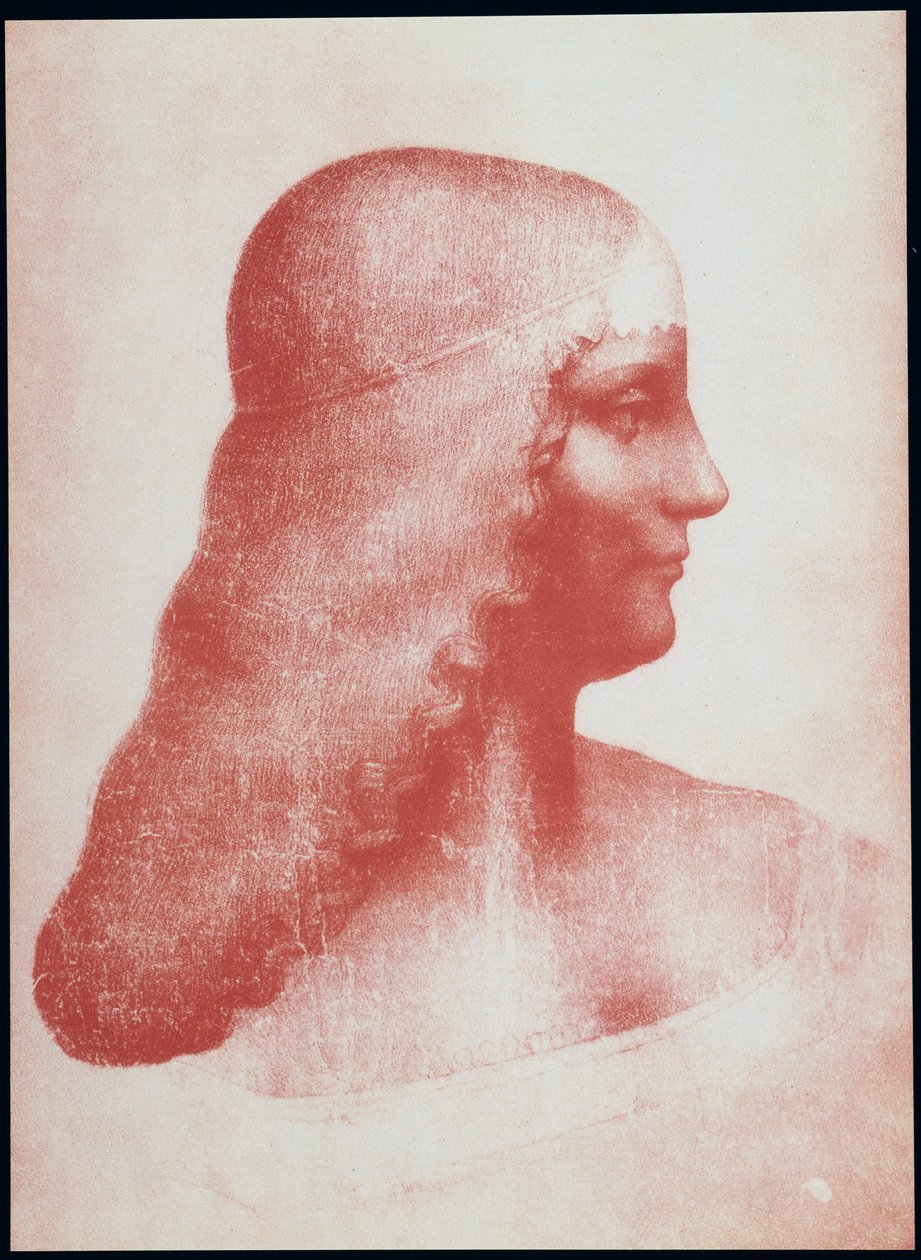 Hovedet af en kvinde i profil (rødt kridt på papir) af Leonardo da Vinci