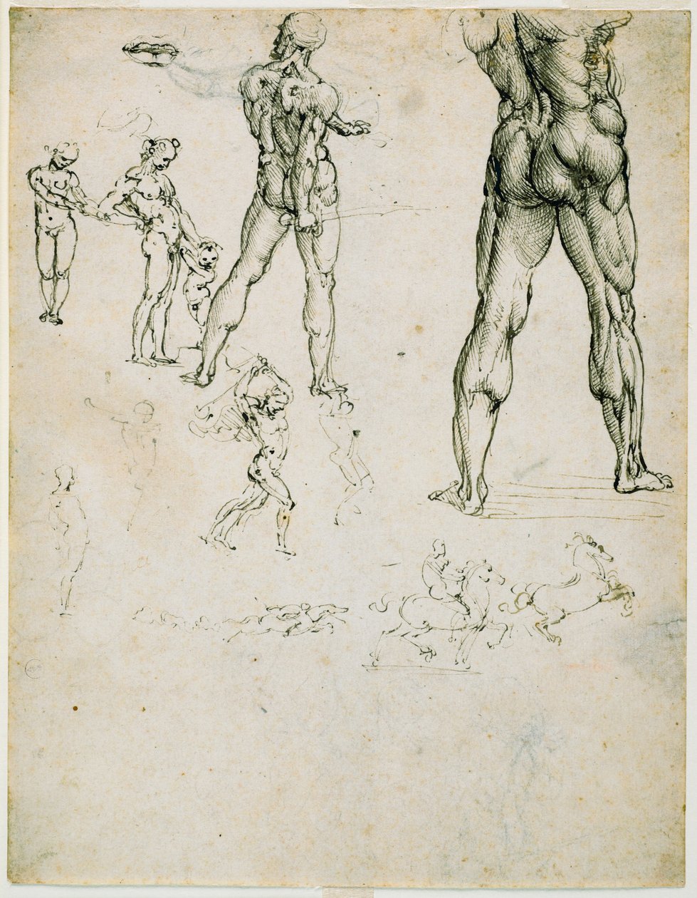 Nudi, for "Slaget ved Anghiari" og andre figurstudier, ca. 1505 (pen og brunt blæk, spor af trækul på papir) af Leonardo da Vinci