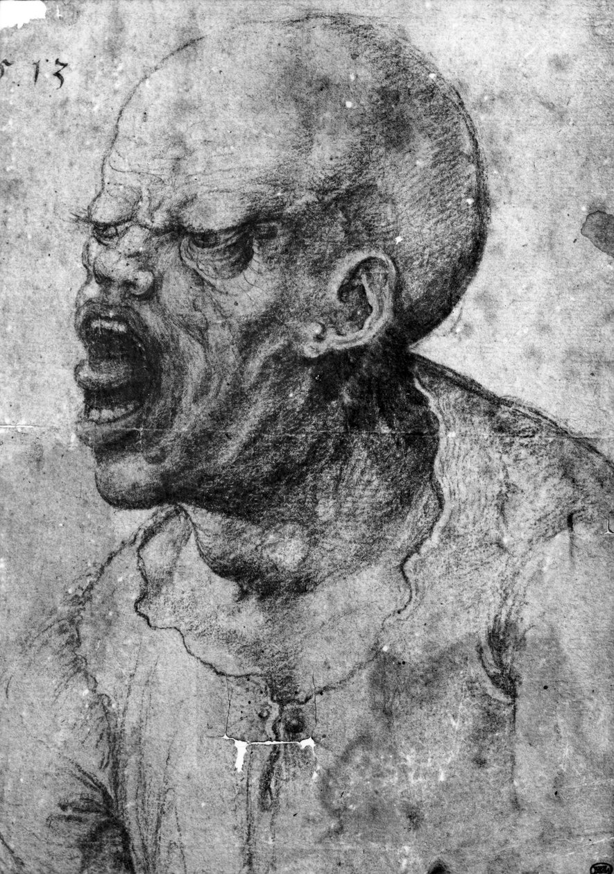 Portræt af en mand, der råber (kul på papir) af Leonardo da Vinci