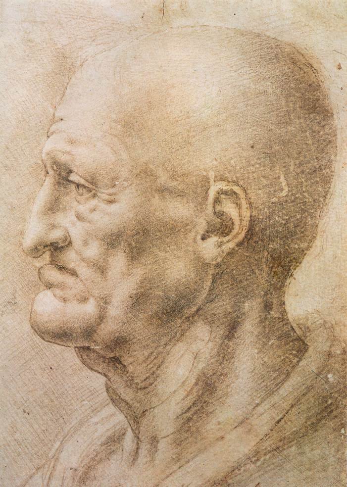 Profil af en gammel mand af Leonardo da Vinci