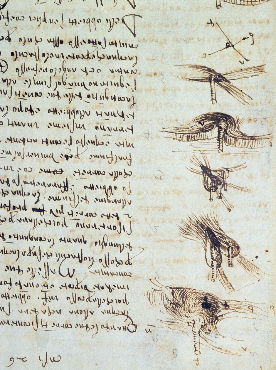 Videnskabelige diagrammer, fra Codex Leicester, 1508-12 sepia blæk på linned papir detalje af 227790 af Leonardo da Vinci