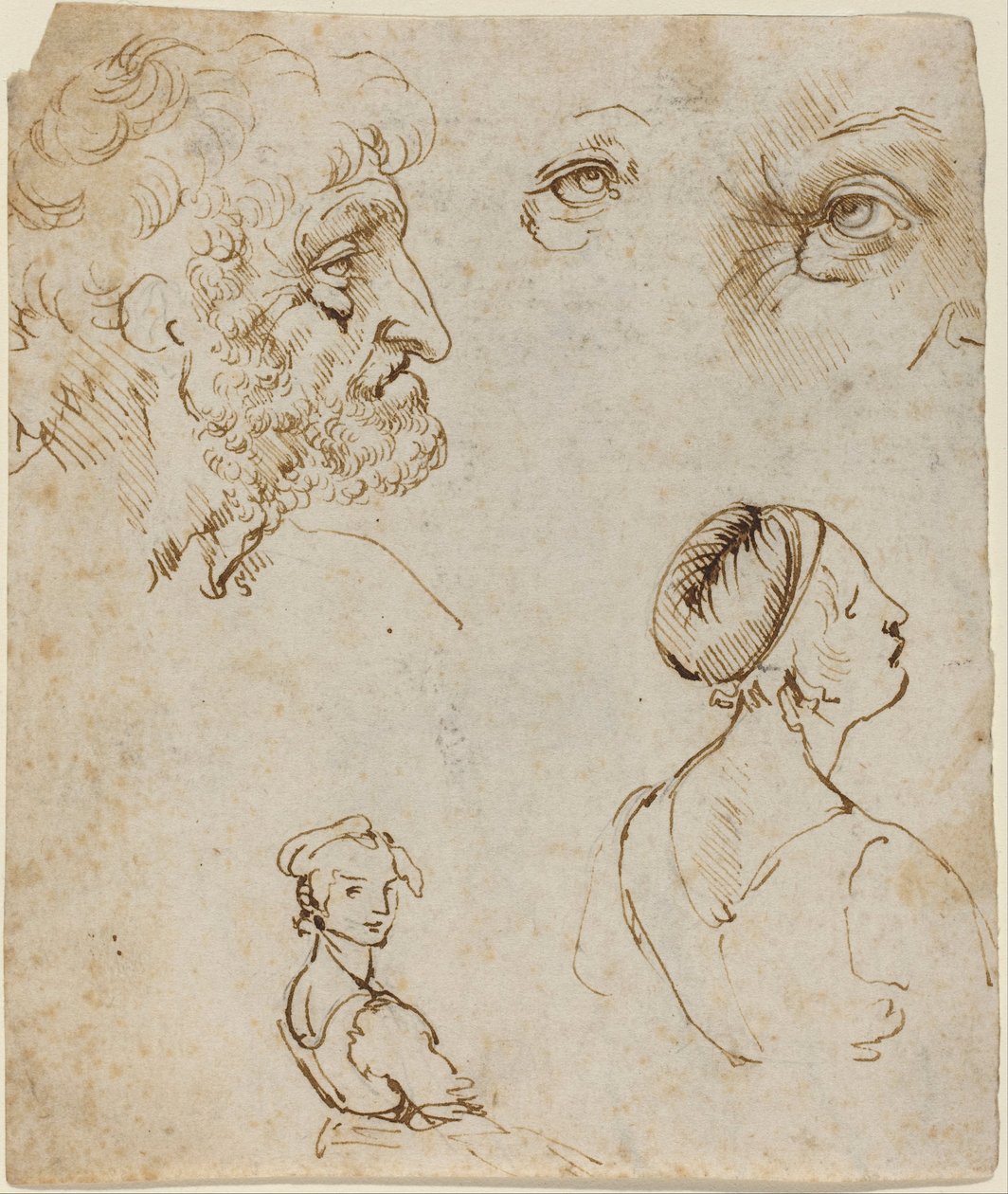 Studieblad (recto) af Leonardo da Vinci