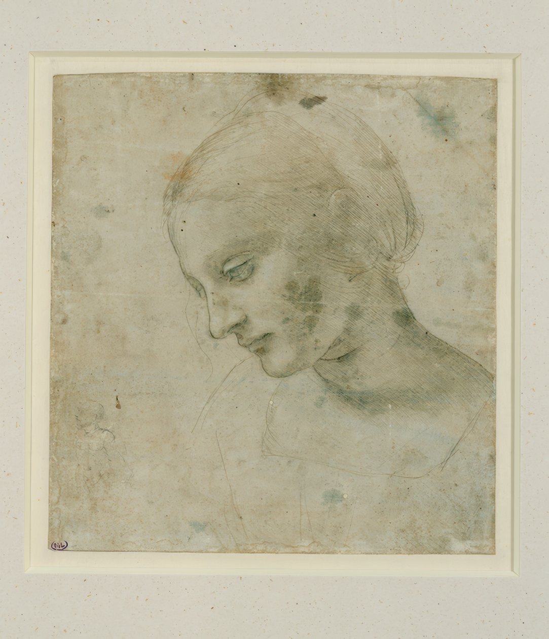 Undersøgelse af et hunhoved i omtrentlig profil af Leonardo da Vinci