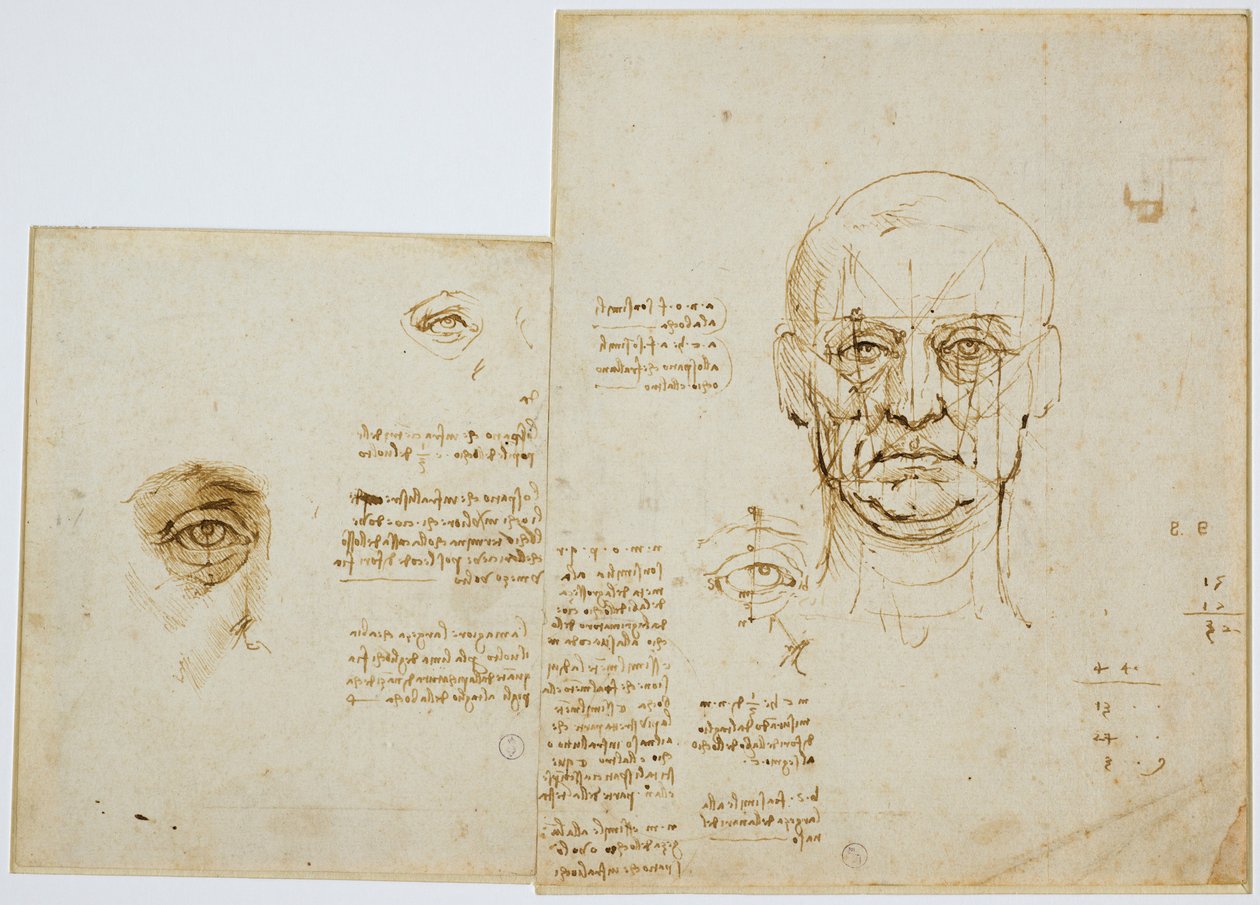 Studier af proportioner af ansigt og øje (med noter), ca. 1489-90 (metallisk spids, pen og brunt blæk på papir) af Leonardo da Vinci