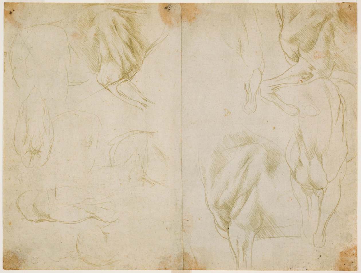 Studier af muskulaturen i hestens forben, ca. 1480 (metalspids på forberedt lys olivengrønt papir) af Leonardo da Vinci
