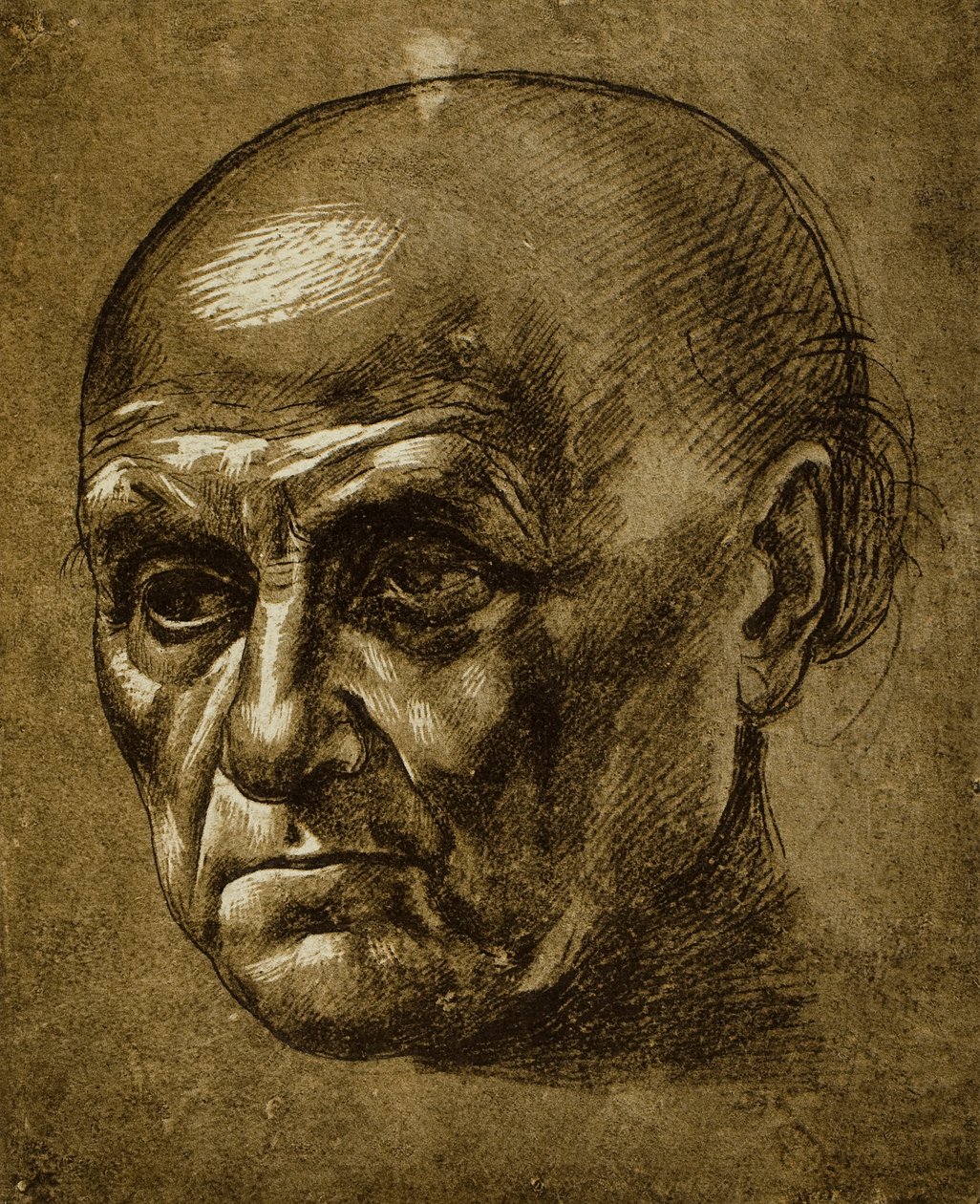 Studie af et mandligt ansigt; tegning af Leonardo da Vinci. Louvre, Paris af Leonardo da Vinci