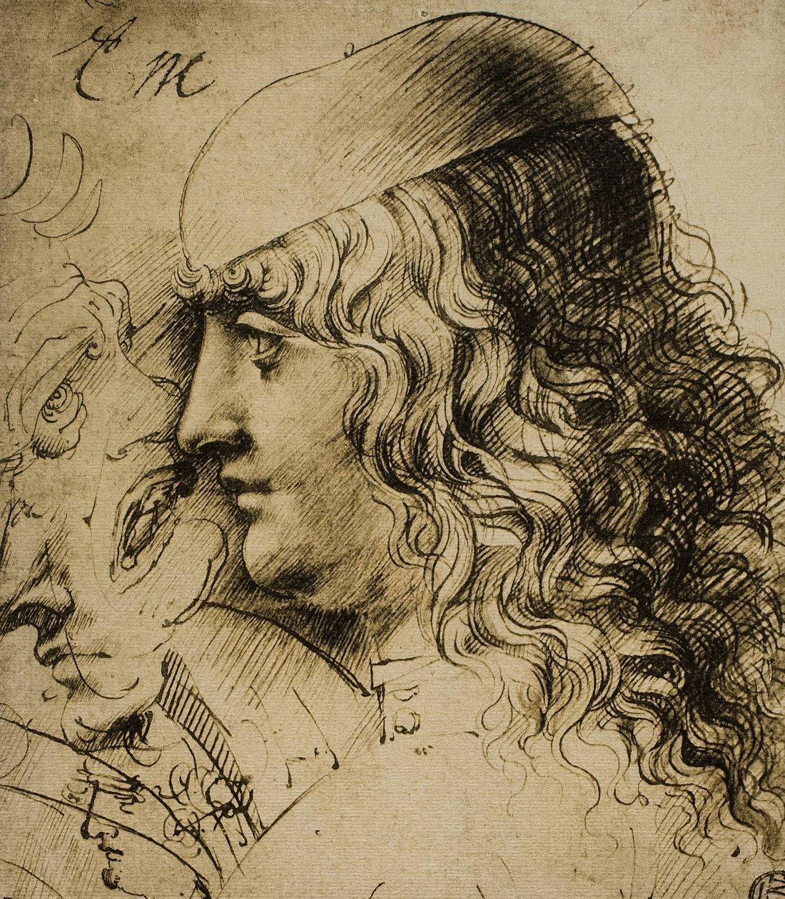 Studie af et mandehoved; tegning af Leonardo da Vinci. Louvre, Paris af Leonardo da Vinci