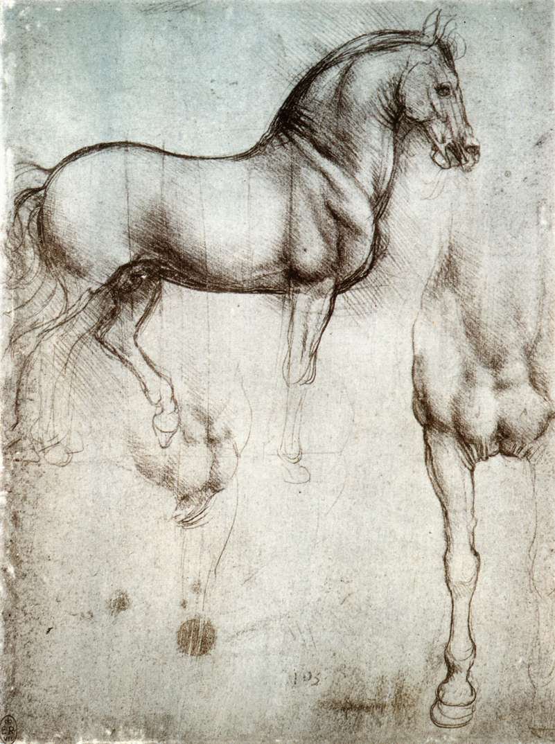 Undersøgelse af heste af Leonardo da Vinci
