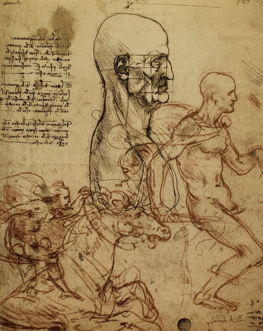 Studie af menneskelig fysiognomi og ryttere til maleriet af slaget ved Anghiari; tegning af Leonardo da Vinci. Gallerie dellAccademia, Venedig af Leonardo da Vinci