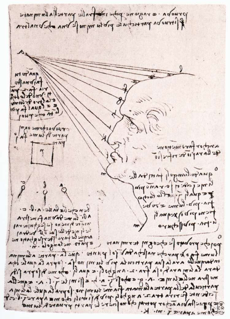 Undersøgelse af lysets effekt på et profilhoved af Leonardo da Vinci