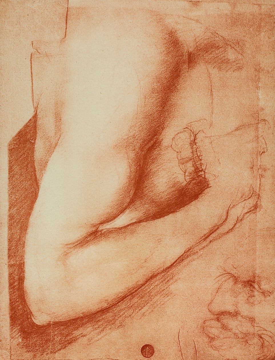 Studie af en arm, tegning af Leonardo da Vinci. Gallerie dell