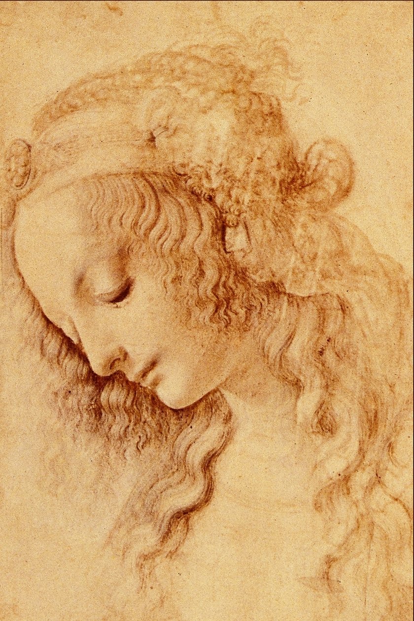 Leder af en kvinde i profil af Leonardo da Vinci