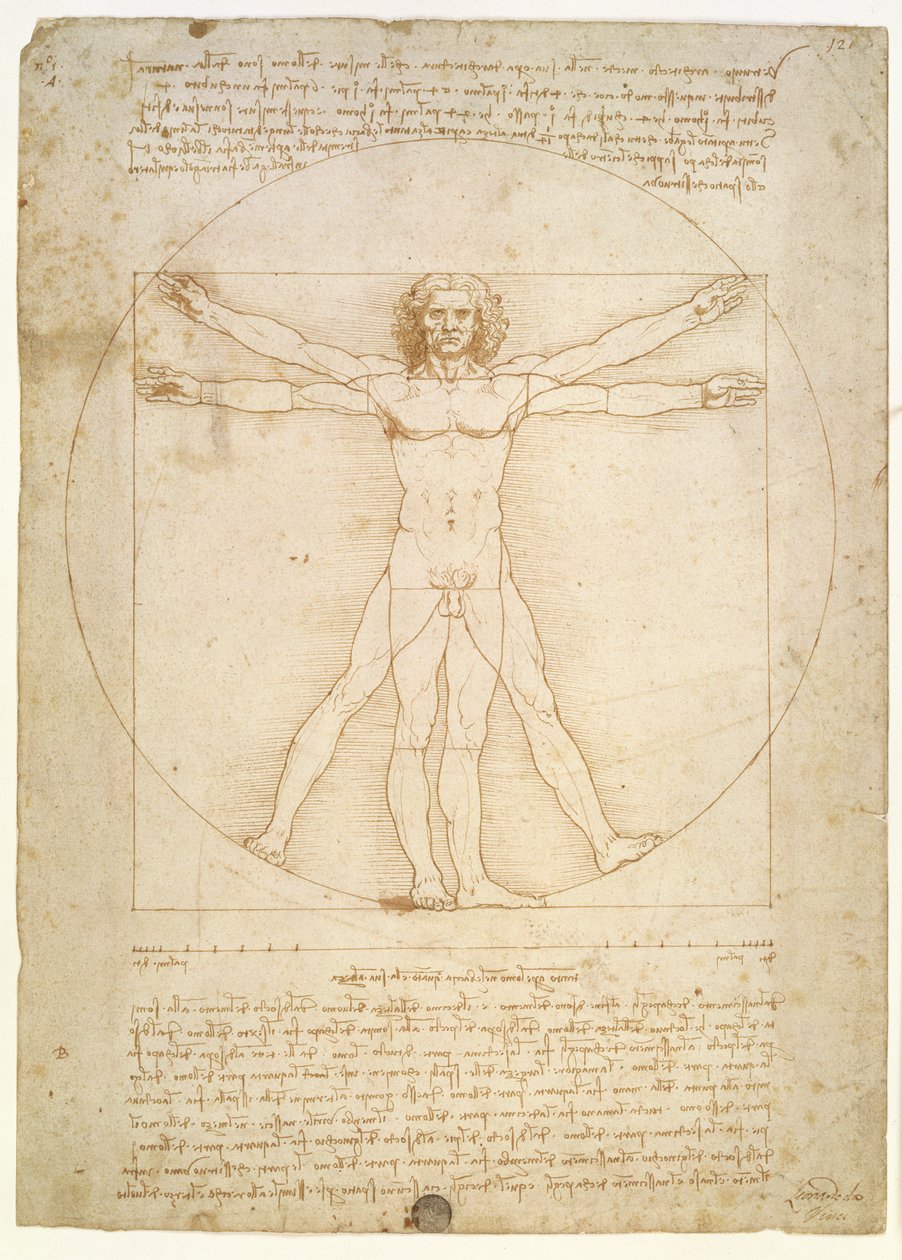 Den menneskelige figurs proportioner (efter Vitruvius), ca. 1492 af Leonardo da Vinci