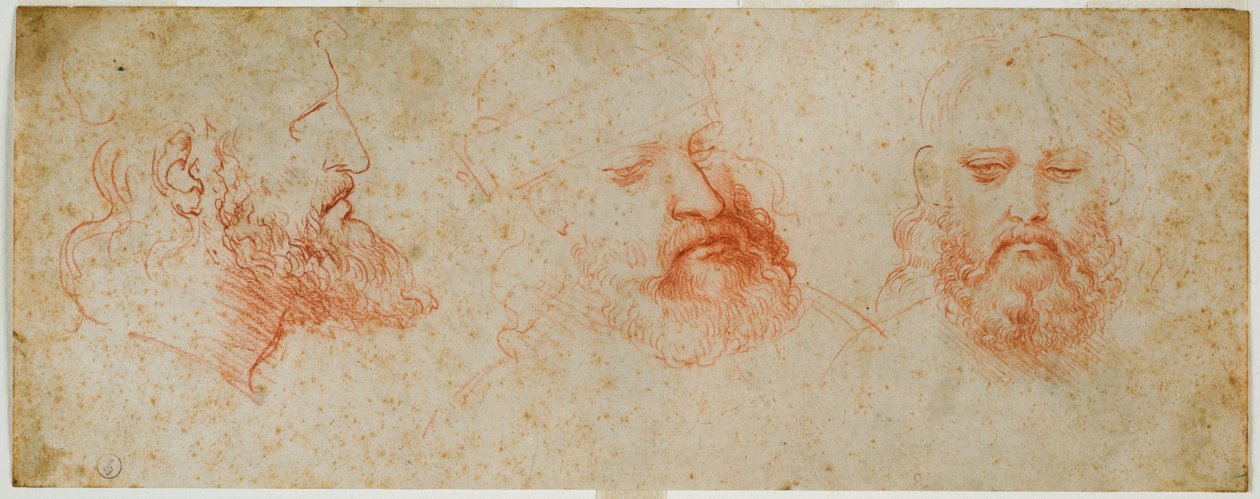 Tre billeder af mandigt hoved med skæg, ca. 1502 (blod på papir) af Leonardo da Vinci