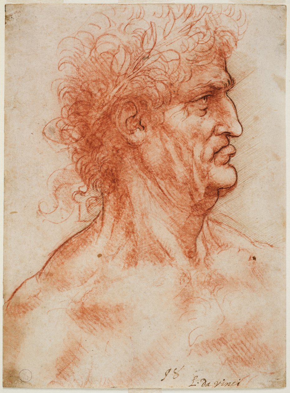 Virilt hoved i profil kronet med laurbær, ca. 1506-10 (blod med konturer gengivet med pen på hvidt papir) af Leonardo da Vinci