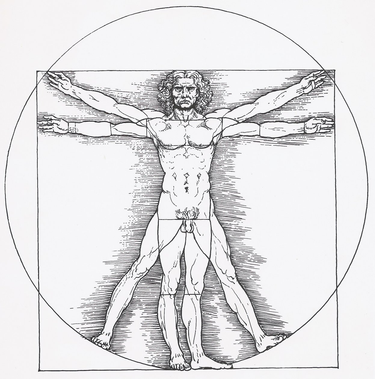 Vitruvianischer Mann af Leonardo da Vinci