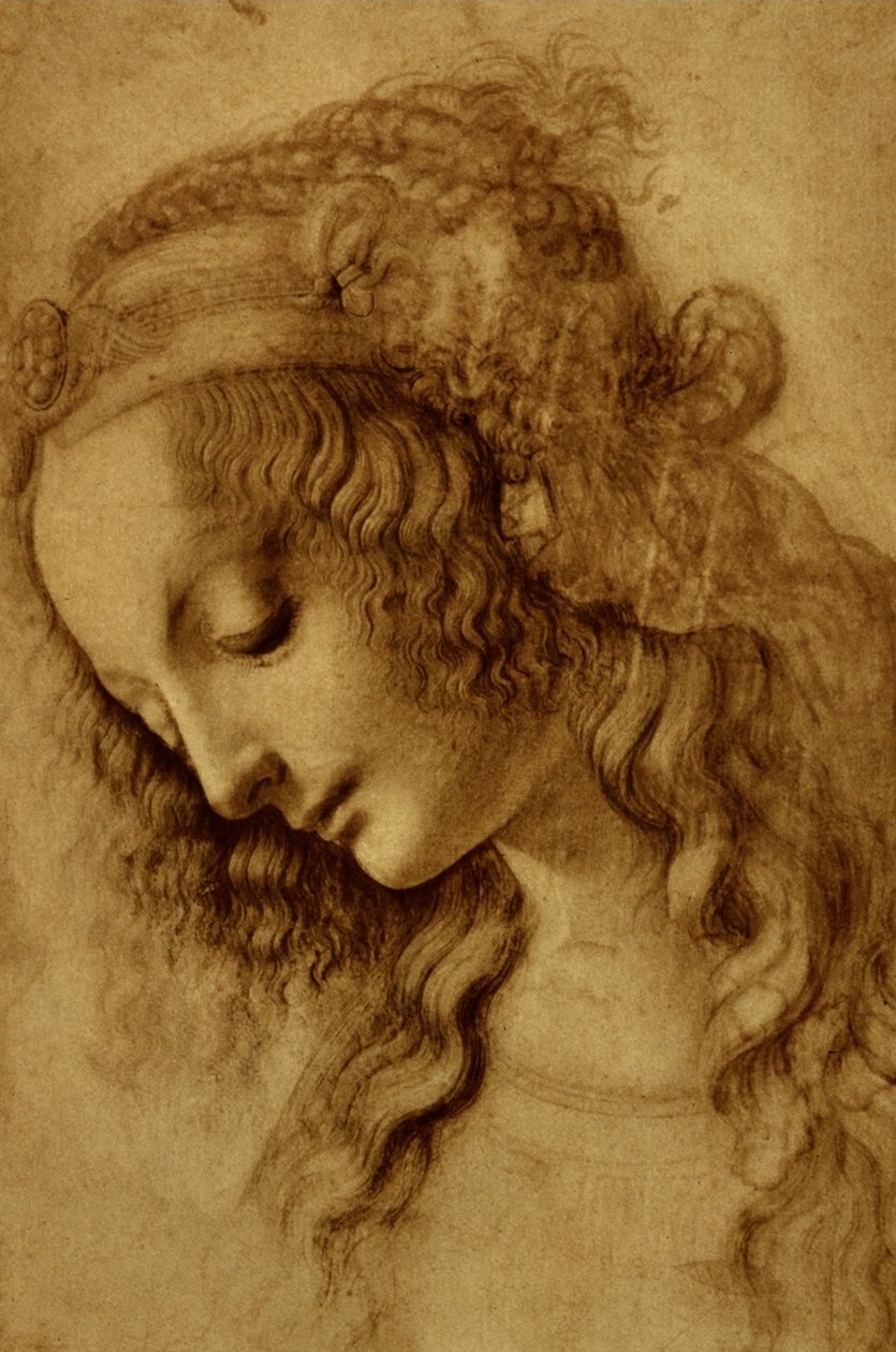 Kvinde i profil af Leonardo da Vinci