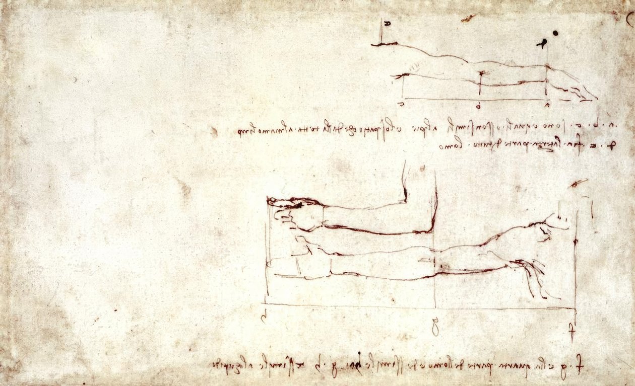 arm af Leonardo da Vinci