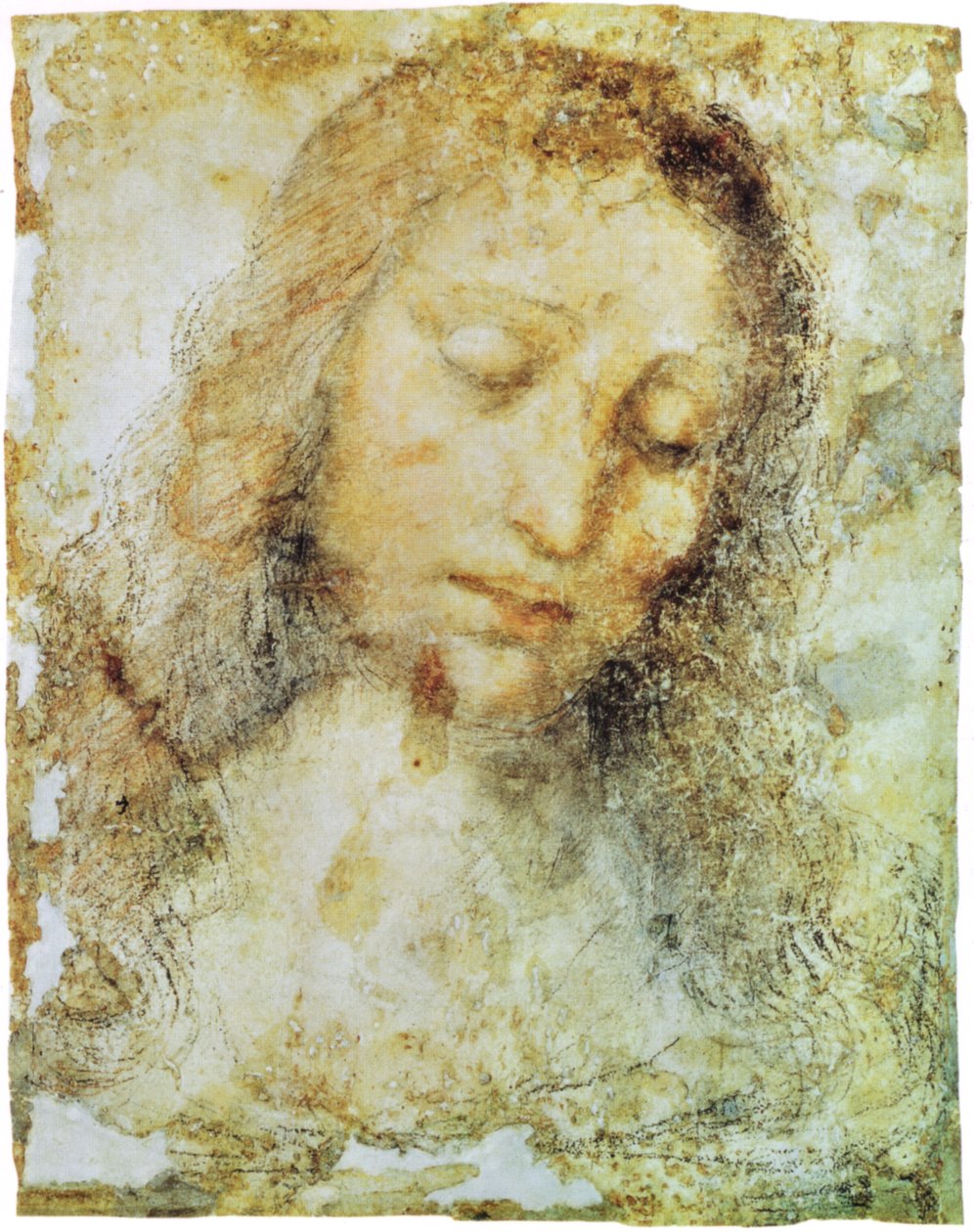 Breras billedgalleri af Leonardo da Vinci