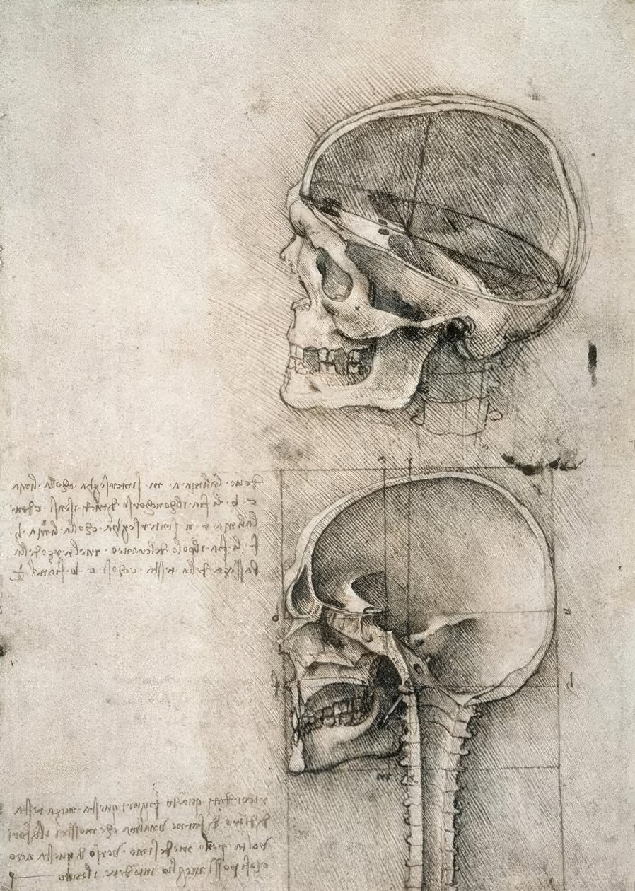 sund fornuft af Leonardo da Vinci