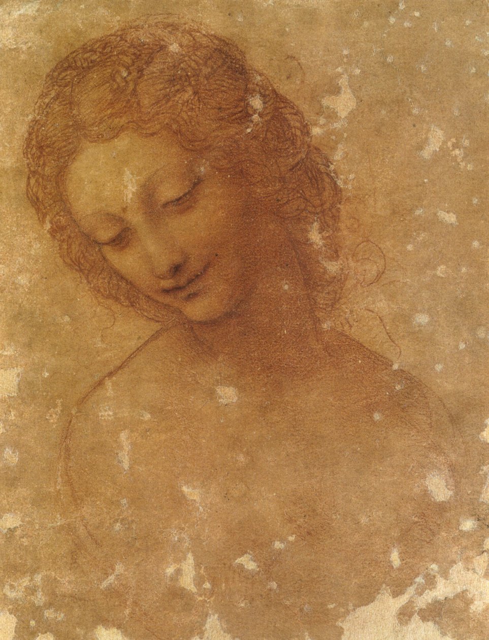 leder af leda, sforzesco slot af Leonardo da Vinci
