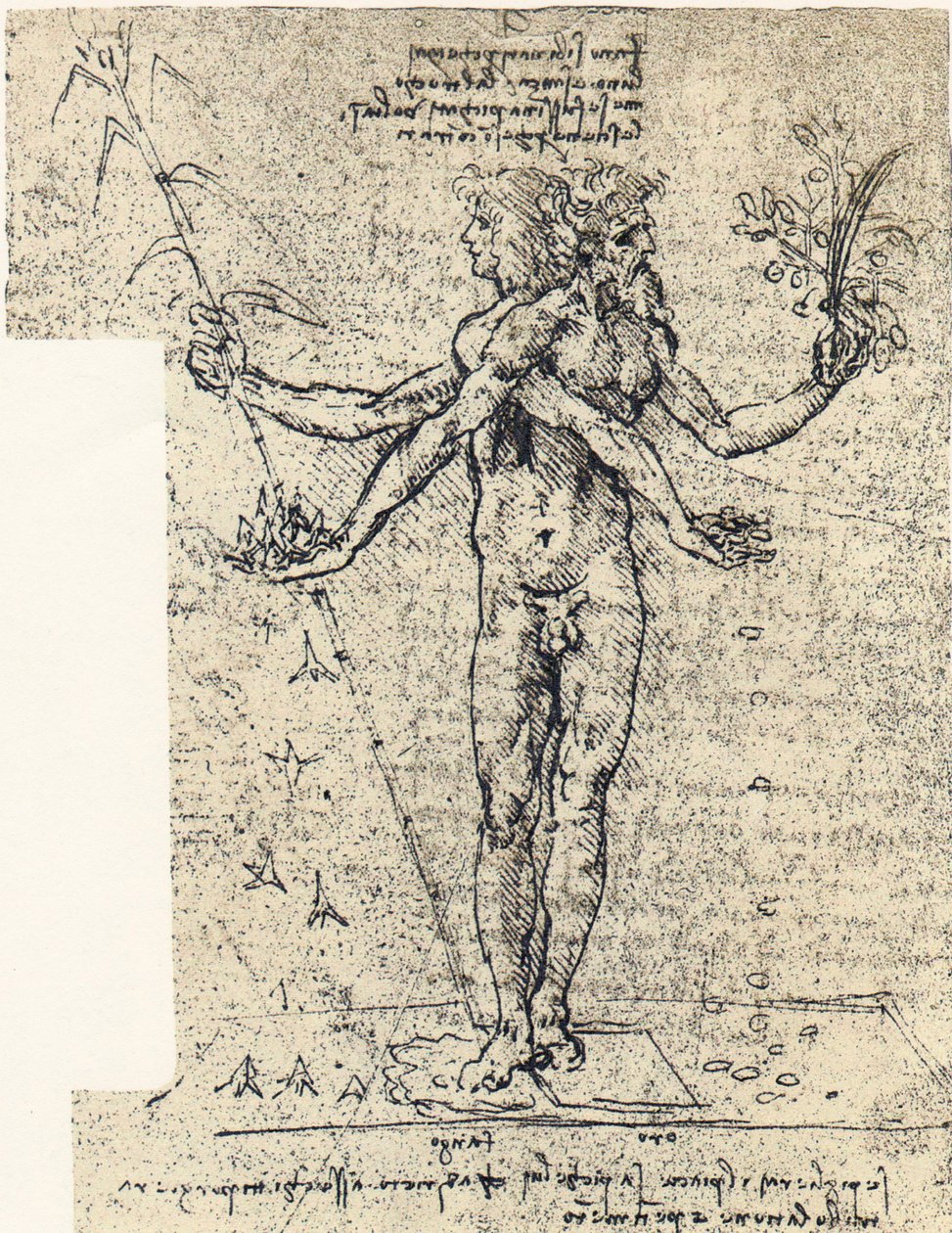 ukendt tegning af androgyn corpus med to hoveder af Leonardo da Vinci
