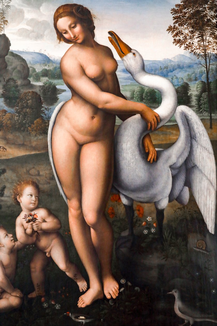 Leda og svanen, Olie på lærred af Leonardo da (after) Vinci